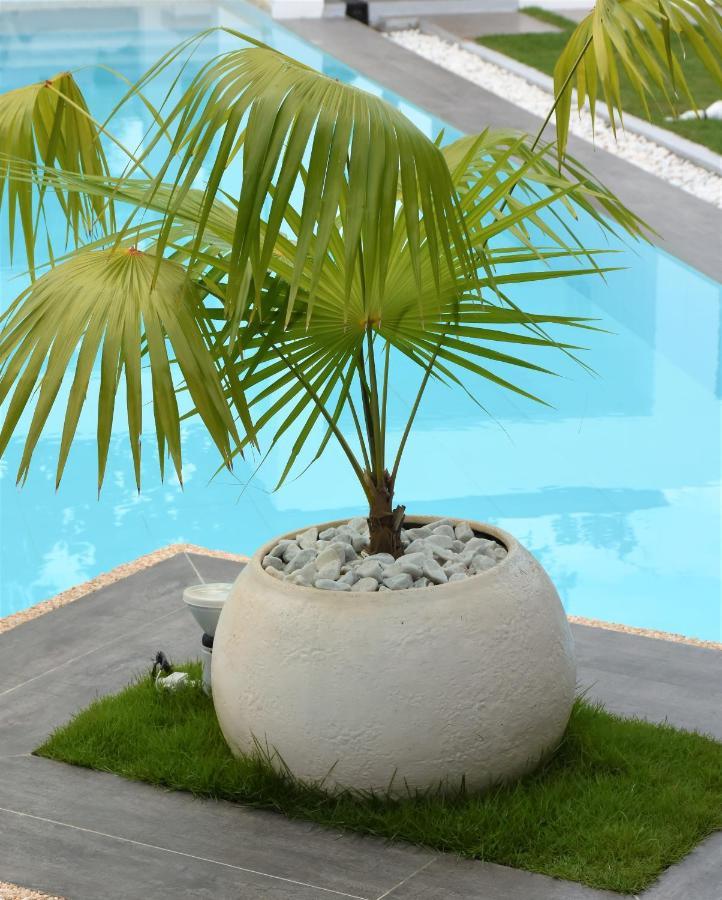 Balai Cinta Villa Panglao Kültér fotó